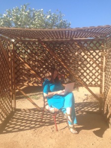 vertical sukkah